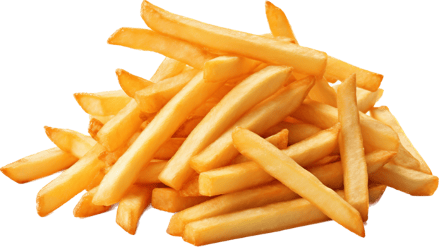 Regular Fries