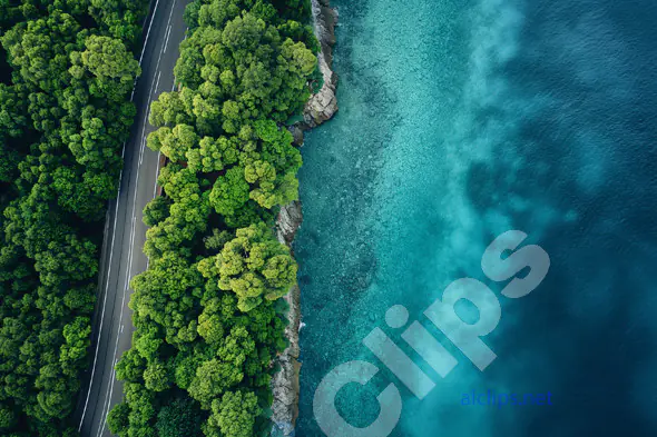 Coastal Forest Aerial View