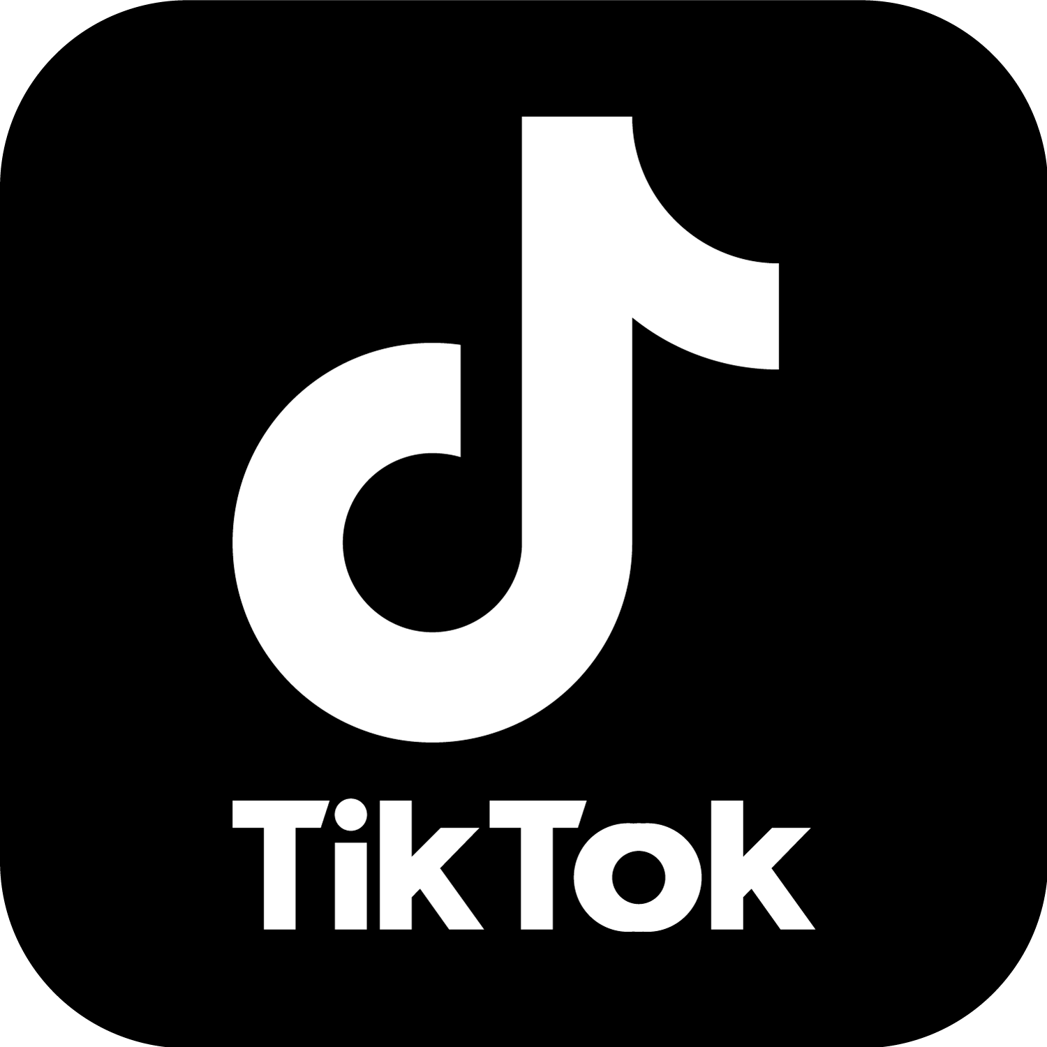 TikTok (Followers, Likes, Views)