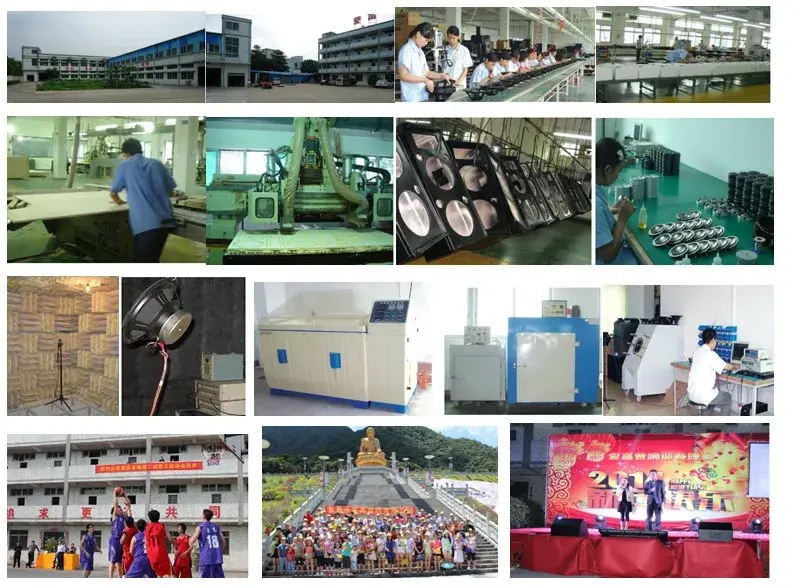 Loa siêu trầm 10 inch: Sự lựa chọn tối ưu cho âm thanh chất lượng hình ảnh 7-description