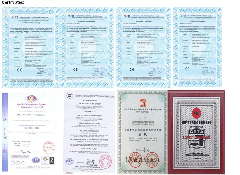 Loa siêu trầm 10 inch: Sự lựa chọn tối ưu cho âm thanh chất lượng hình ảnh 9-description