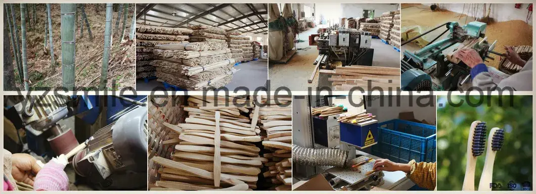Bàn chải đánh răng tre mềm, phù hợp với môi trường và được chứng nhận FDA hình ảnh 9-description