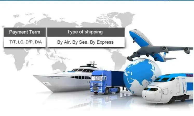 Bàn chải đánh răng tre mềm, phù hợp với môi trường và được chứng nhận FDA hình ảnh 8-description