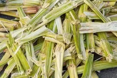 Thuyền gỗ 100% tự nhiên dùng một lần, thân thiện với môi trường cho đĩa sushi thơm ngon hình ảnh 13-description