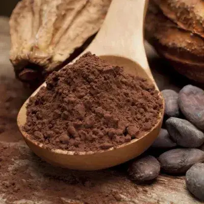 Bột cacao nguyên chất - Sô cô la đen không đường - Bột vỏ hạt cacao chất lượng cao hình ảnh 14-description