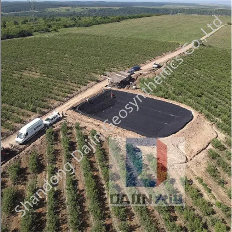 Chất lượng cao sản xuất tại Trung Quốc: Màng nhựa HDPE Geomembrane ASTM Chống thấm nước 100% Virgin
