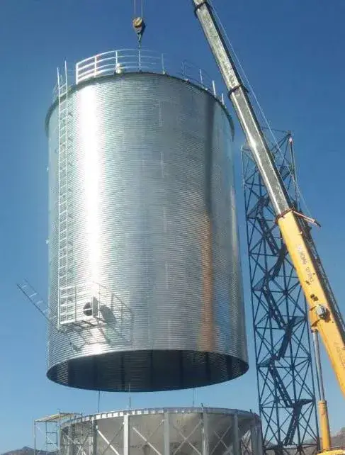 Thùng chứa ngũ cốc thép 1000t từ nhà sản xuất Trung Quốc - Lưu trữ nguồn cung Lúa gạo, Trấu, Lúa mì, ngô hình ảnh 14-description