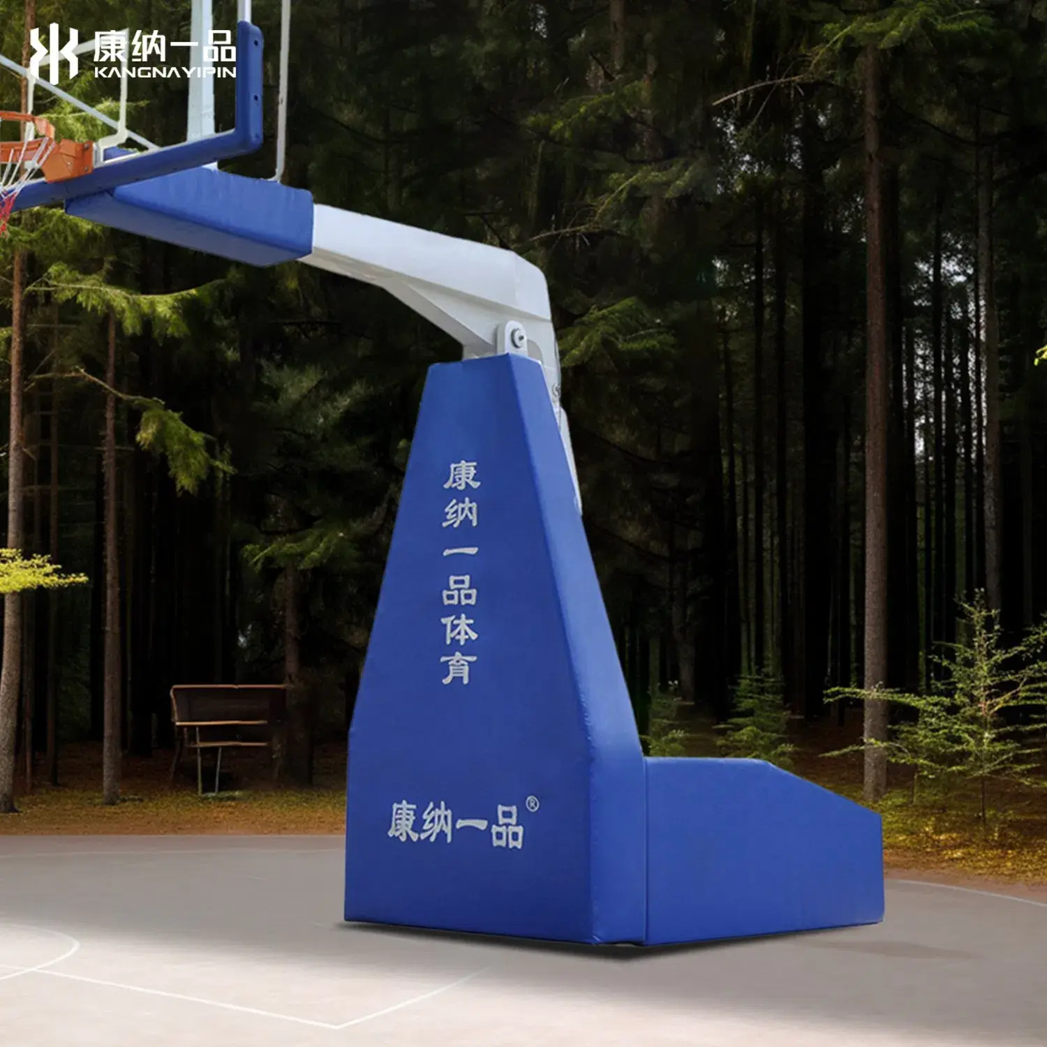 Hệ thống rổ bóng rổ chuyên nghiệp 10FT dành cho sân ngoài trời và trong nhà