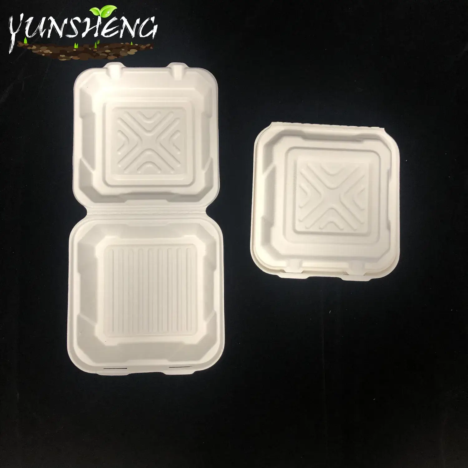 Hộp đựng cơm sinh học một lần từ tre hoặc bã mía, là lựa chọn hoàn hảo cho bữa tối và đồ ăn mang đi