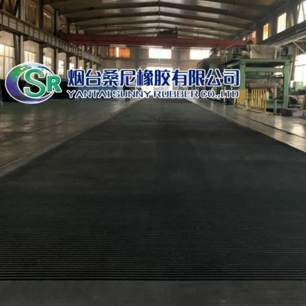 Băng lọc EPDM chất lượng cao dành cho xử lý nước trong nhà máy sản xuất phosphate