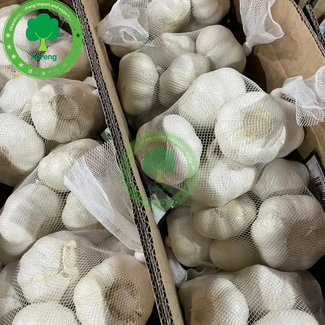 Tỏi trắng thông thường từ khu vực sản xuất gừng tỏi Sơn Đông, Trung Quốc - Sản phẩm chất lượng từ nhà máy