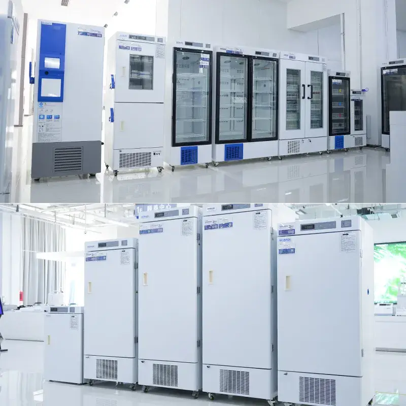 Bếp từ khuấy dòng Ms 20L cho phòng thí nghiệm, tối đa 100~1500rpm, tích hợp chức năng gia nhiệt