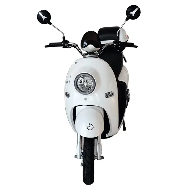Xe đạp truyền động cổ điển COC Máy xay thịt 1500W - Chế độ xem, tốc độ 45km/H Motos E scooters Châu Âu