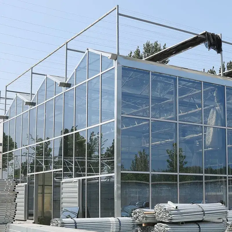 Giải pháp kính nông nghiệp toàn diện cho việc trồng trái cây