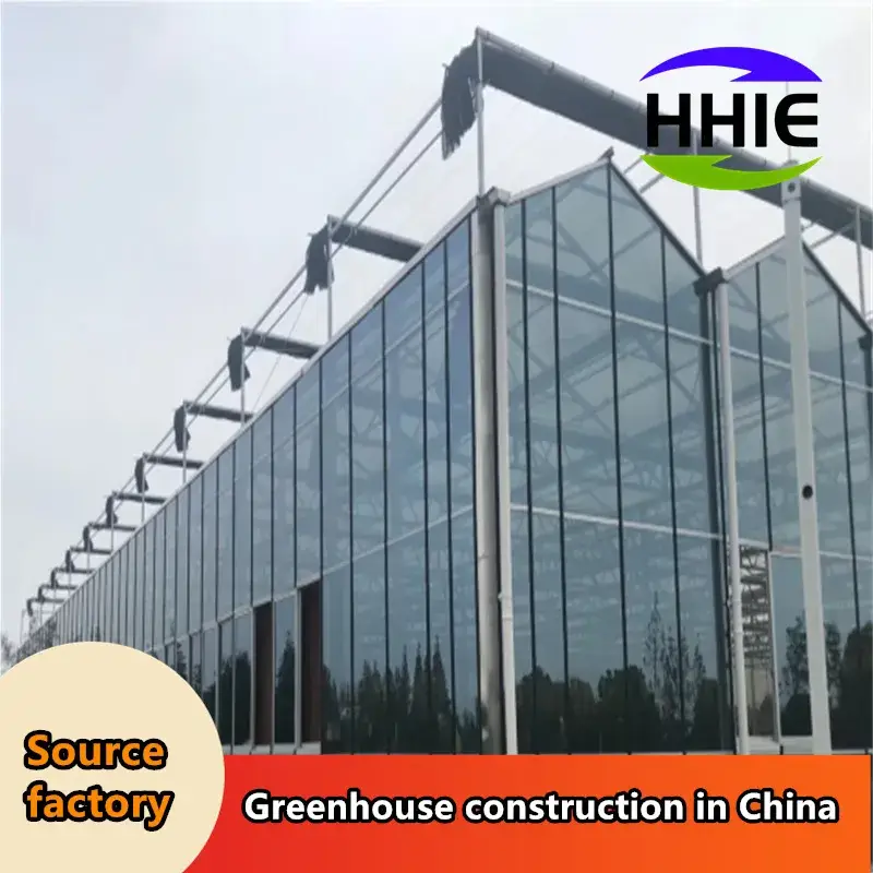 Nhà máy sản xuất nhà kính hiện đại dành cho việc xuất khẩu vào thị trường Đông Nam Á