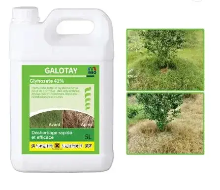 Ruigreaat - Giải pháp hóa chất nông nghiệp hiệu quả cho việc tiêu diệt sâu bệnh