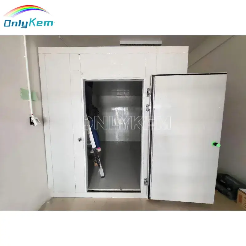 Giải pháp lưu trữ thực phẩm tối ưu cho nhà hàng: Phòng lạnh bếp và Tủ lạnh đi bộ chuyên dụng