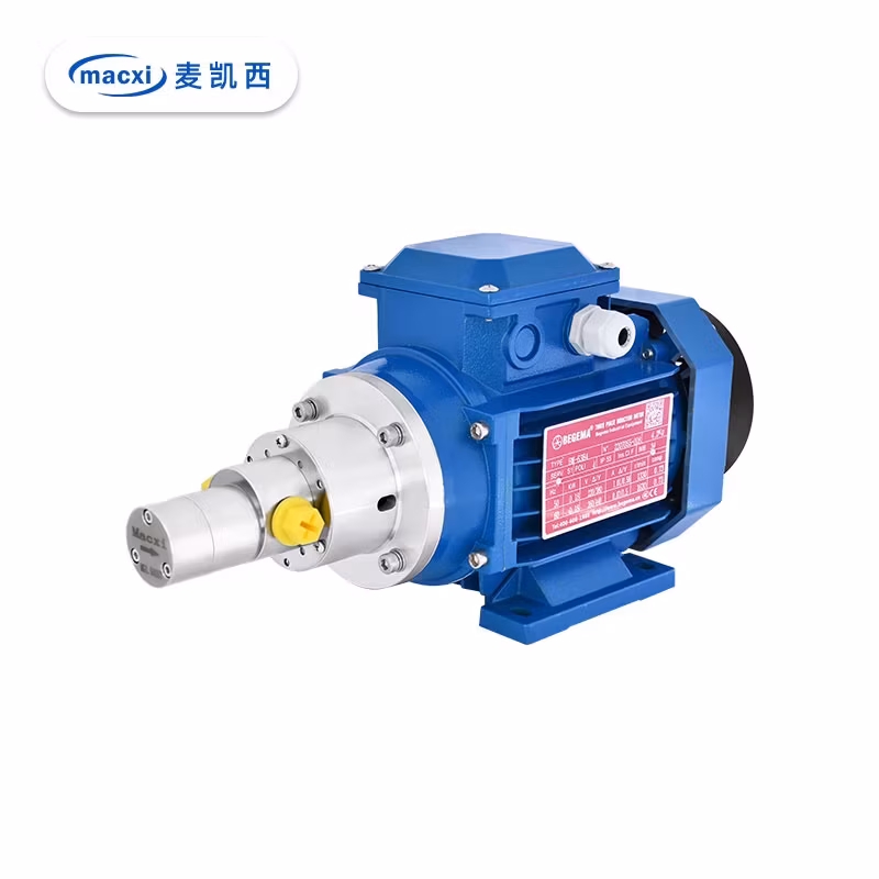 Bơm hóa chất mini ba pha AC 380V - Thiết bị định lượng và bơm từ tính hình ảnh 10-description