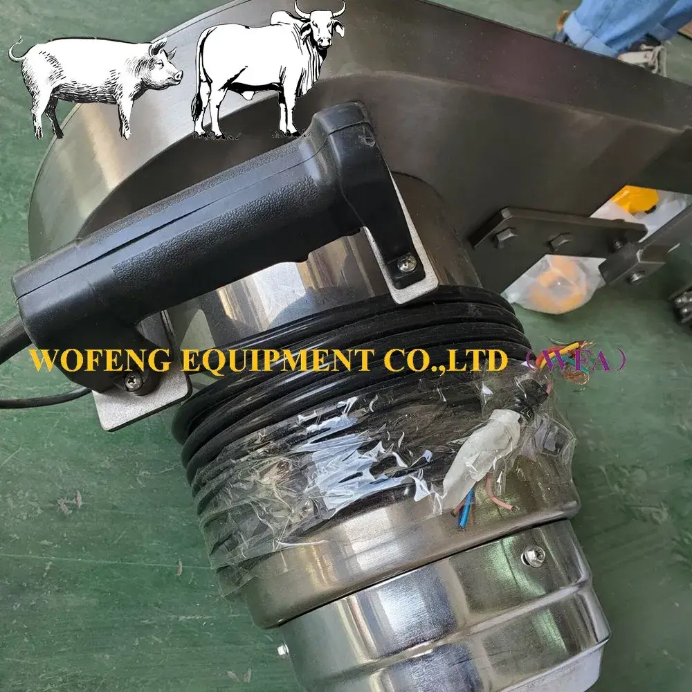 Máy giết mổ heo chất lượng cao, thiết bị chế biến thịt heo hiệu quả, cưa phân nửa thân heo cho máy chế biến thịt heo