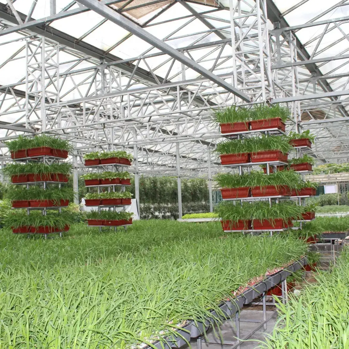 Nền Nhà kính bằng kính chịu lực tạo không gian trống lớn