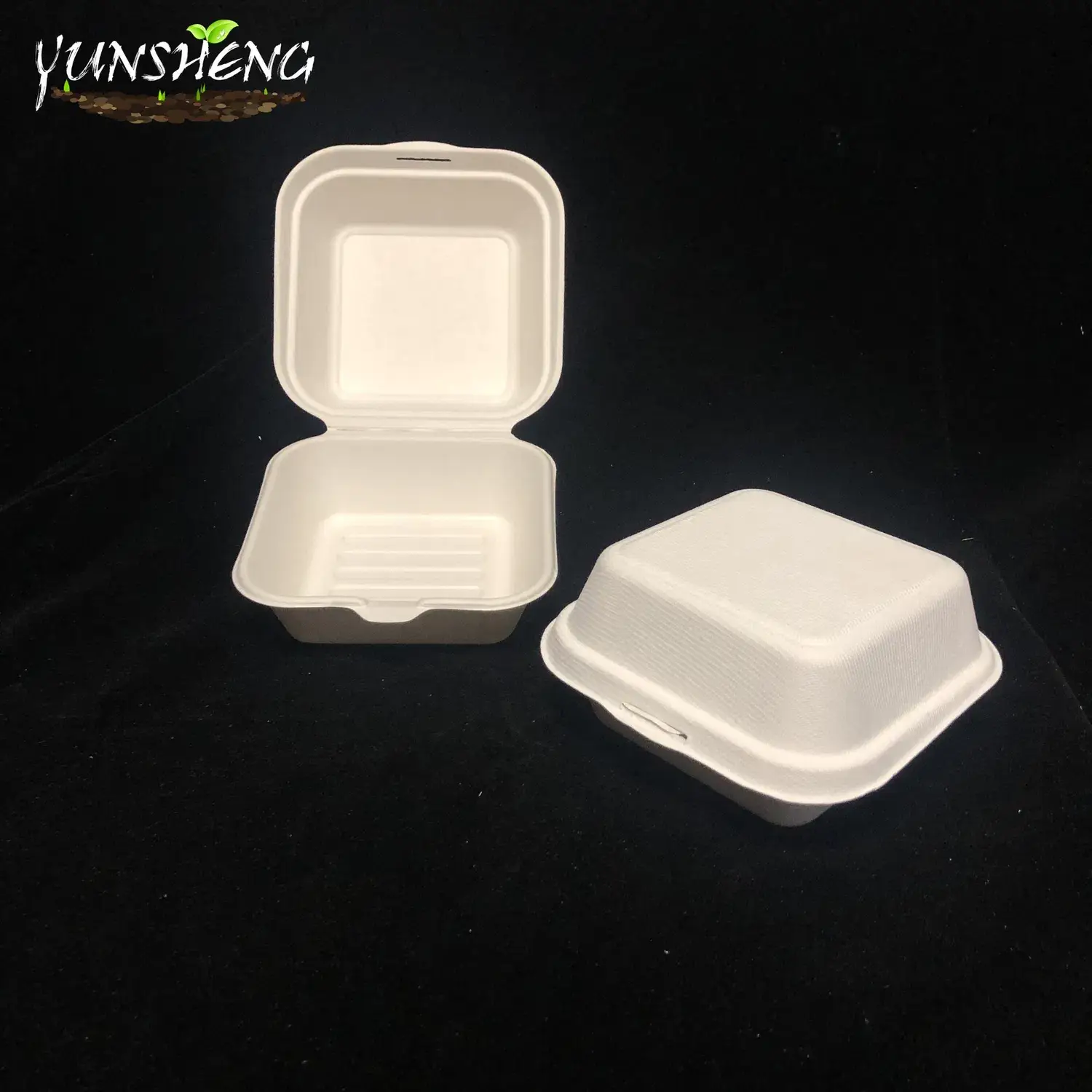 Hộp đựng cơm sinh học một lần từ tre hoặc bã mía, là lựa chọn hoàn hảo cho bữa tối và đồ ăn mang đi