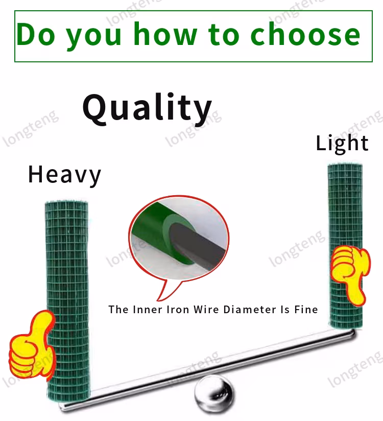 Lưới kim loại hàn phủ nhựa PVC: Giải pháp an toàn cho chuồng chim gia đình hình ảnh 11-description