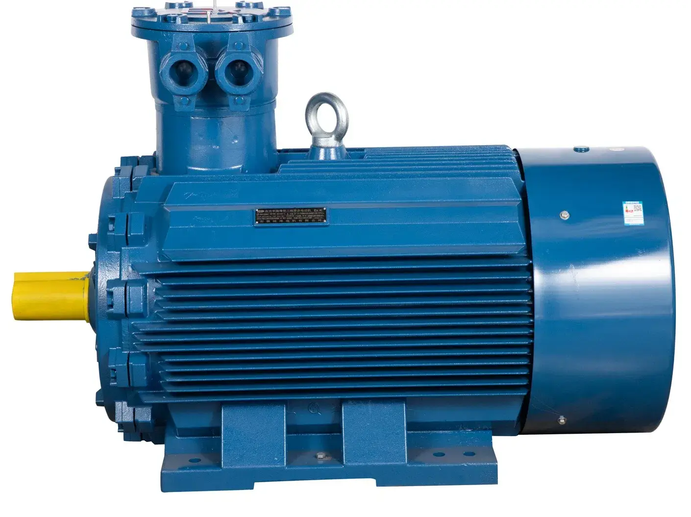 Động cơ điện không đồng bộ ba pha AC loại lồng sóc cho ứng dụng bơm nước và máy nén khí 0.75kw