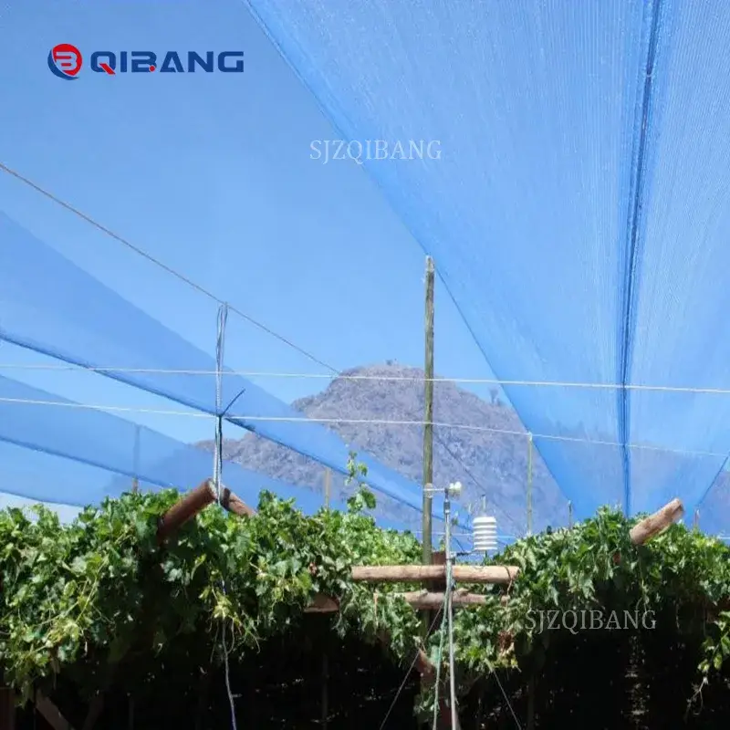 Vải che nắng màu xanh: Sản phẩm chất lượng bảo vệ UV cho bãi đỗ xe, nhựa polyethylene, vườn thủy canh và việc trồng cây