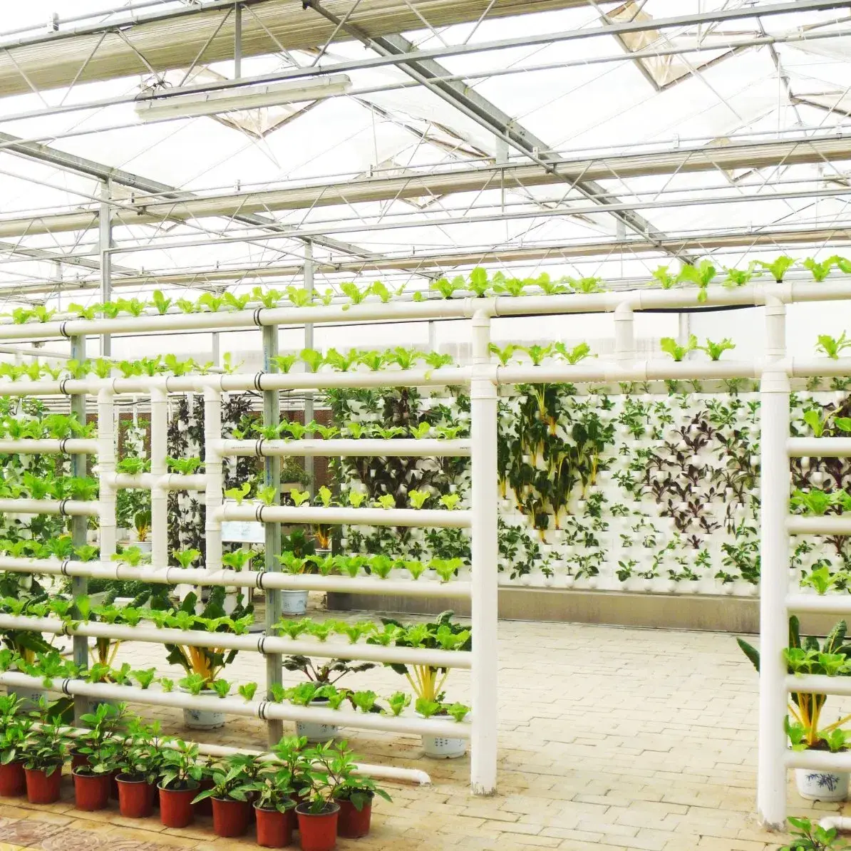Nền Nhà kính bằng kính chịu lực tạo không gian trống lớn