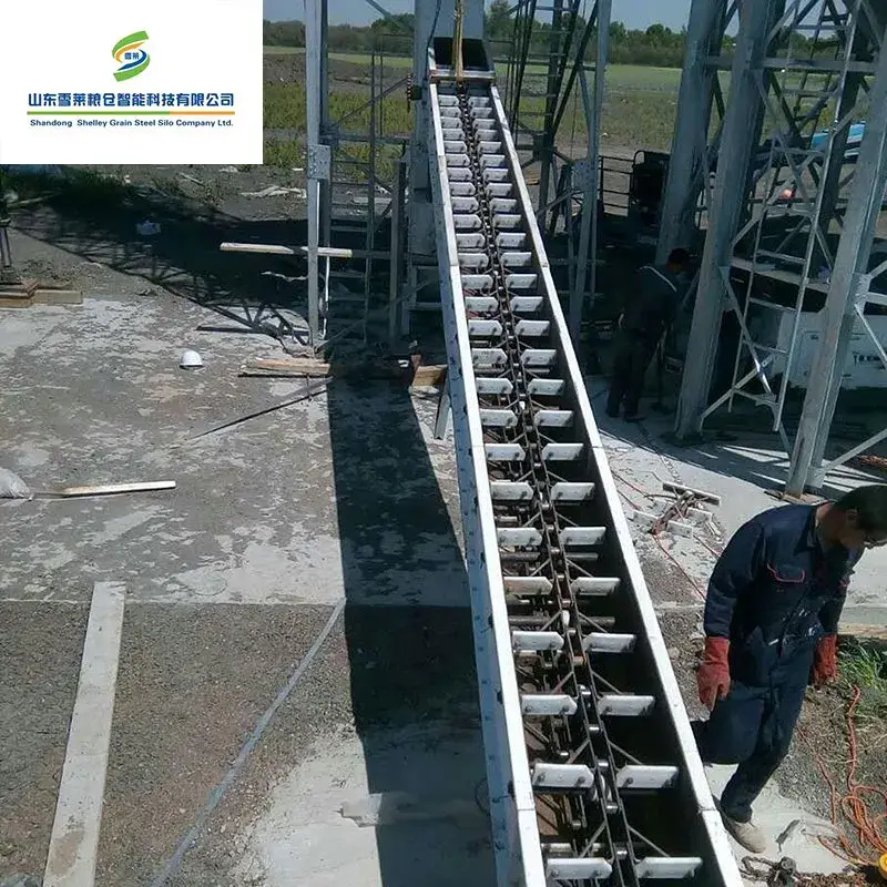 Thiết bị băng tải kéo hạt chất lượng cao cho ngũ cốc, lúa mì, ngô, lúa, gạo