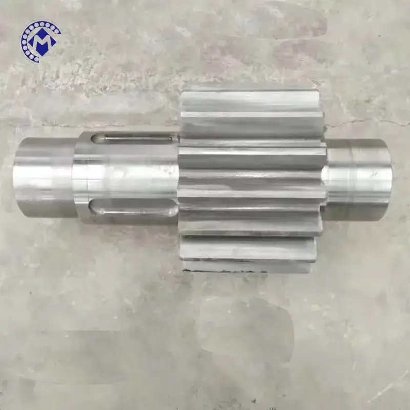 Đúc theo yêu cầu: Truyền động biển răng cưa cuộn tốt nhất từ Trung Quốc