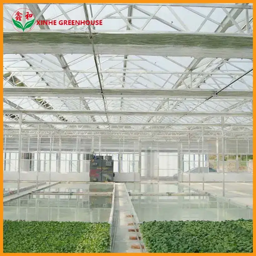 Ống mạ kẽm nhúng nóng nhà kính tùy chỉnh cho cà chua: Sản phẩm chất lượng với mức giá ưu đãi