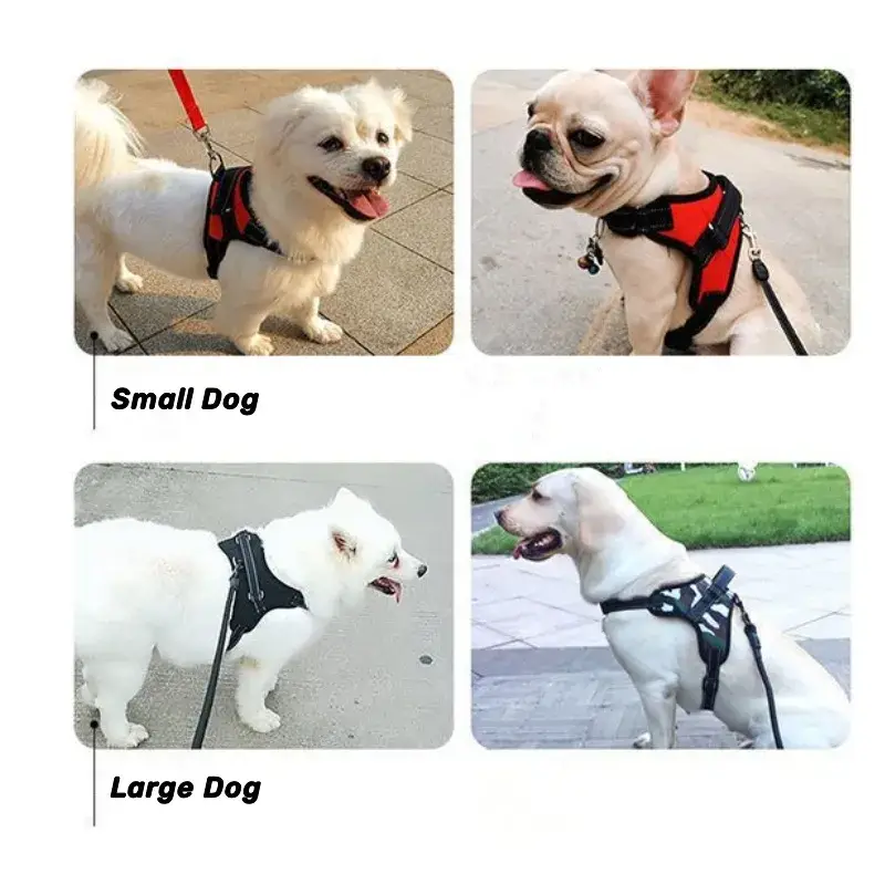 Bộ dây dắt chó bằng chất liệu nylon mềm, phù hợp cho việc đi bộ