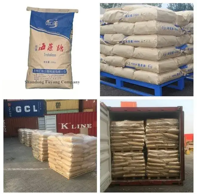 Đường Trehalose từ Nhà máy Trung Quốc - Sự lựa chọn ưa thích của nhiều người với chất lượng cao