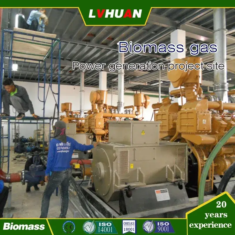 300kw -500kw Máy phát điện khí sinh học với 500/600rpm Tốc độ thấp và sự cố thấp