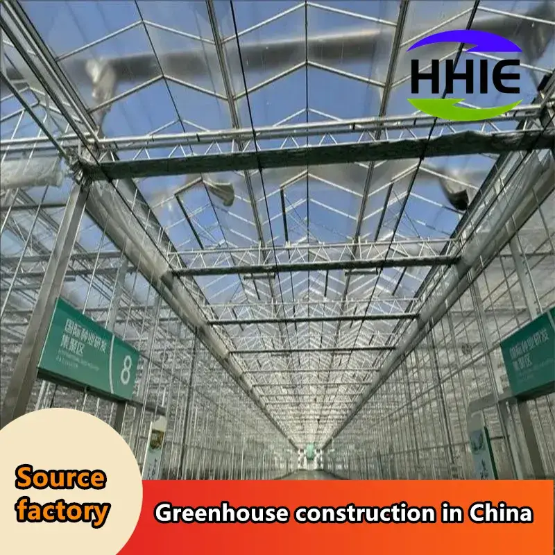 Nhà máy sản xuất nhà kính hiện đại dành cho việc xuất khẩu vào thị trường Đông Nam Á
