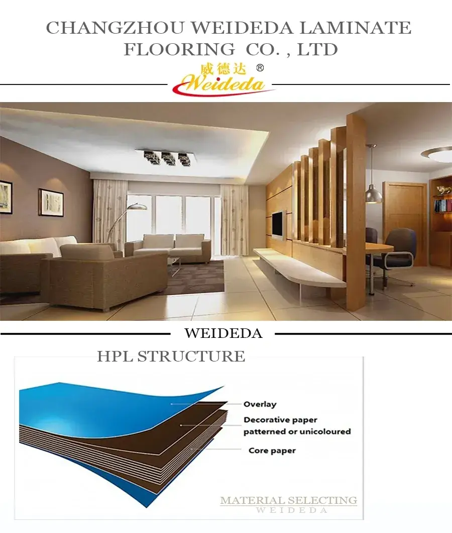 Vách ngăn nhà vệ sinh an toàn cho trẻ em tại Trung Quốc: Bảng HPL nhẹ và tiện lợi hình ảnh 2-description