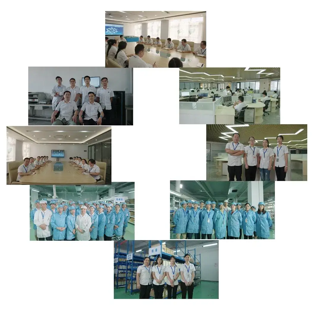 Ắc quy Lithium 12V 20ah LiFePO4 cho xe golf với hệ thống quản lý pin hình ảnh 19-description