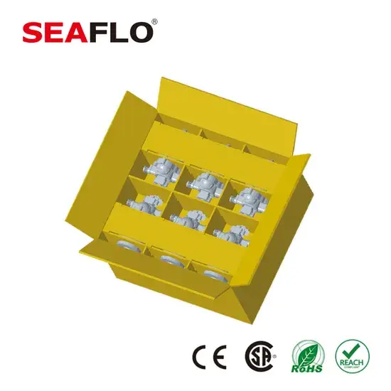 Giới thiệu máy bơm nước mini 12V tại Sri Lanka - Sản phẩm chất lượng