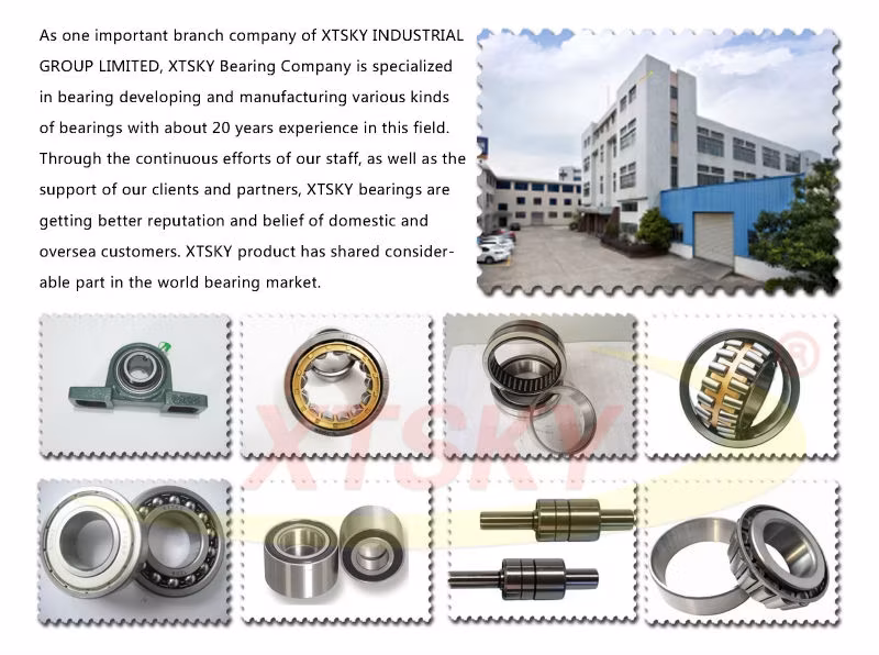 Bộ Bạc đạn cầu tựa bi: Sản phẩm chất lượng cao cho ngành công nghiệp hình ảnh 12-description