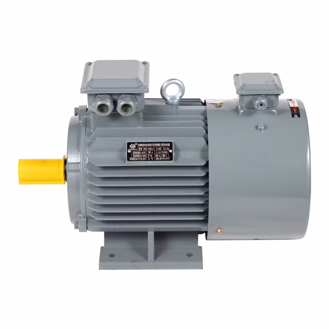 Động cơ điện không đồng bộ ba pha AC loại lồng sóc cho ứng dụng bơm nước và máy nén khí 0.75kw hình ảnh 12-description