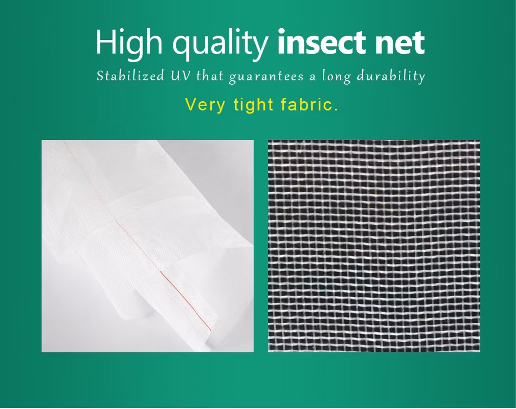 Một cách hiệu quả để bảo vệ côn trùng - sản phẩm có nguồn gốc từ Trung Quốc hình ảnh 13-description