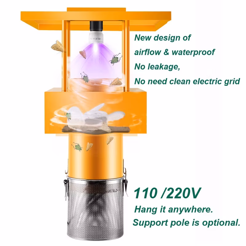 Ẩm thực tự nhiên: Sức hút của ánh sáng mặt trời đối với côn trùng hình ảnh 13-description