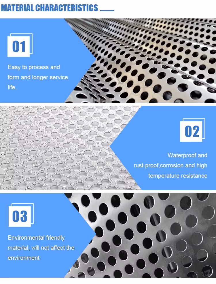 Lưới loa tròn làm từ thép không gỉ, có lỗ perforated hình ảnh 13-description