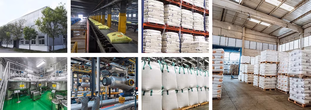 Phosphate Dicalci chất lượng cao dành cho thức ăn bổ sung dinh dưỡng và chăn nuôi hình ảnh 13-description