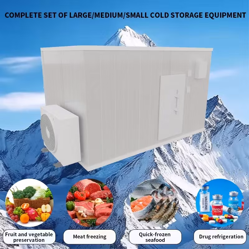 Phòng lạnh container với lớp cách nhiệt đặc biệt và cửa swing hiện đại hình ảnh 13-description