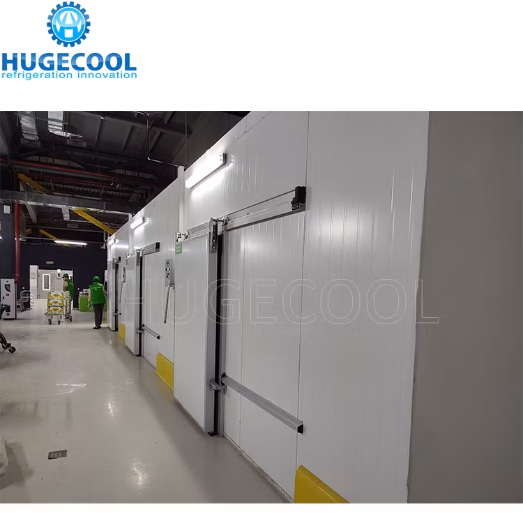 Tủ đông phòng lạnh chất lượng cao với hệ thống bảo quản lạnh cho giá trị lưu trữ tối ưu hình ảnh 14-description
