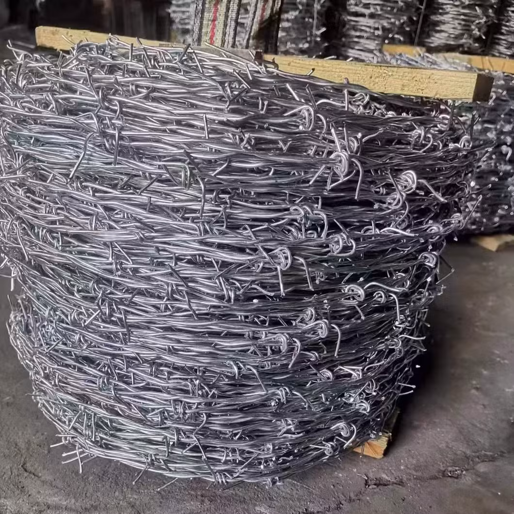 Dây kẽm gai mạ điện chất lượng cao dành cho hệ thống hàng rào hình ảnh 14-description