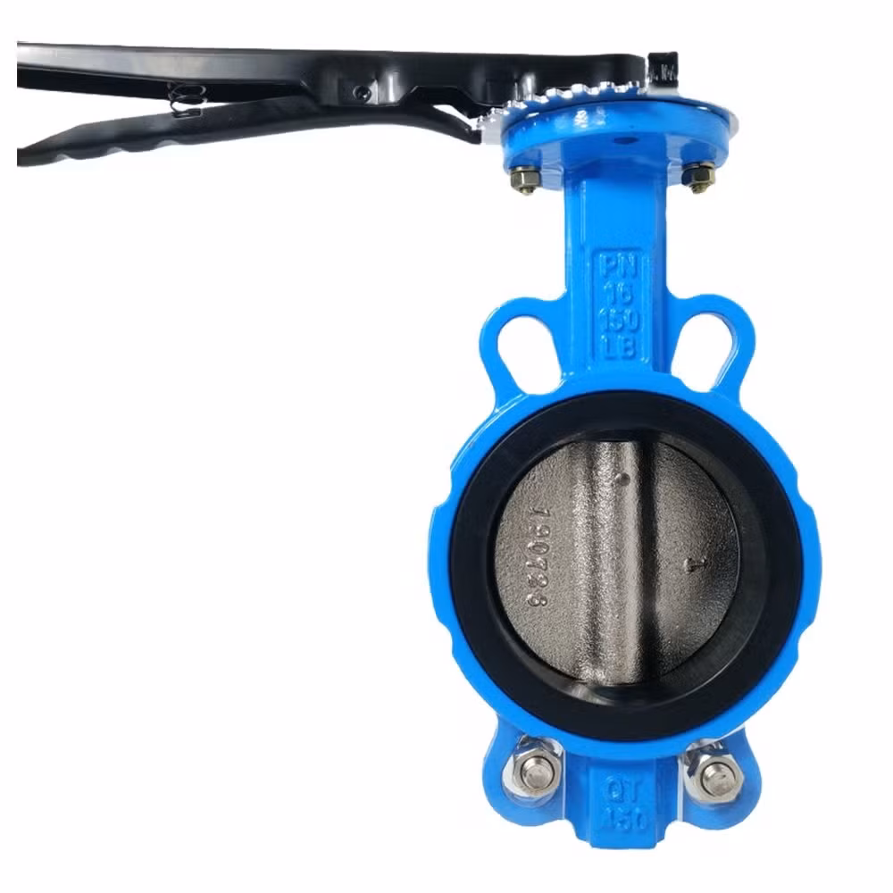 Van Bướm Sắt Dẻo BS5155 En593 Ggg50 Đối Xứng Kép Di - Chất lượng đảm bảo hình ảnh 14-description