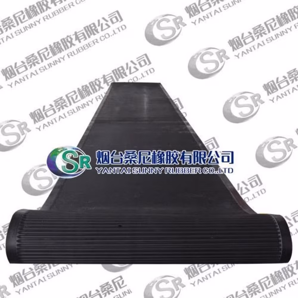 Băng lọc EPDM chất lượng cao dành cho xử lý nước trong nhà máy sản xuất phosphate hình ảnh 15-description